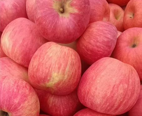 红富士苹果